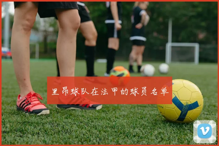 里昂球队在法甲的球员名单