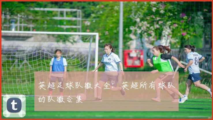 英超足球队徽大全:英超所有球队的队徽合集