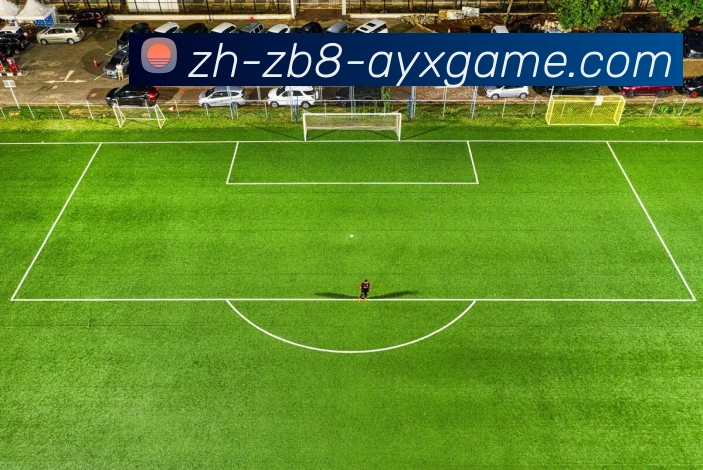 数据防护可视化